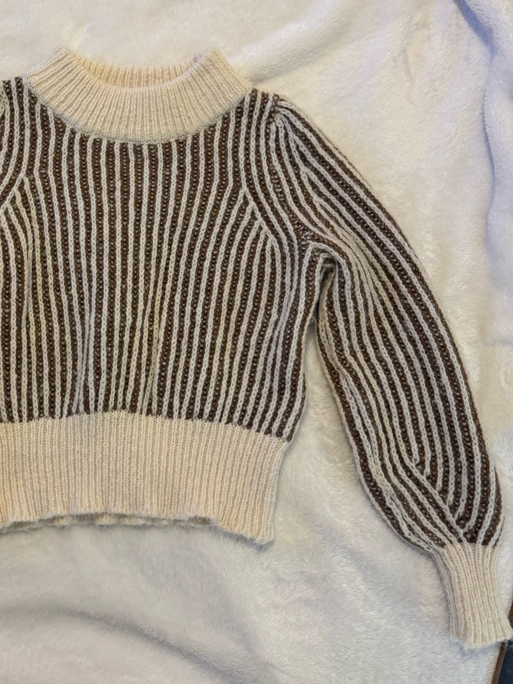 Hyfve Striped Ribbed crew neck Sweater in Brown and Cream